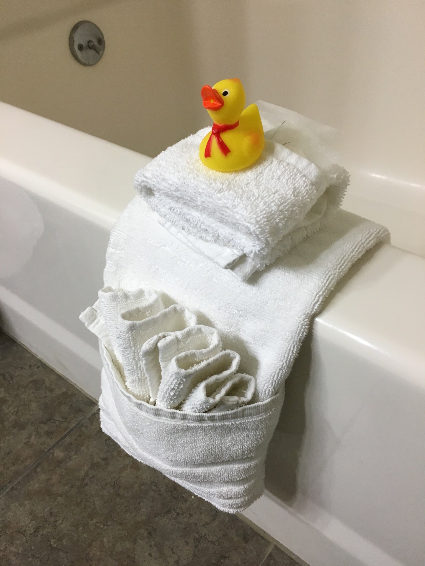 Comfort Suites Inn at Ridgewood Farm, 2898 Keagy Rd, Salem, VA, Hotels