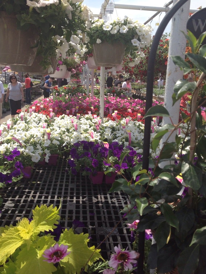 Wreaths & Stands  Pesches Flowers & Garden Center