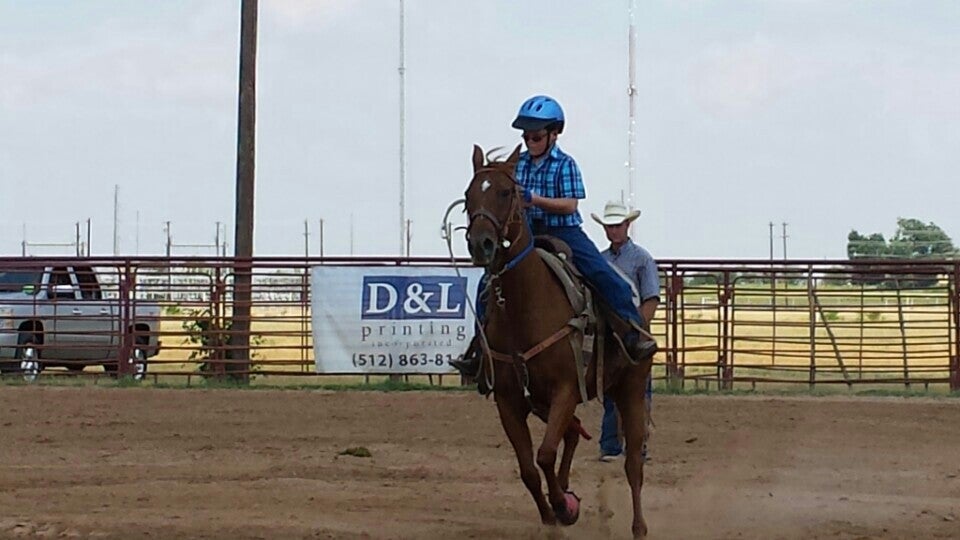 Kelly's Kids, 2401 Southwestern Blvd, TX, Horse Dealers