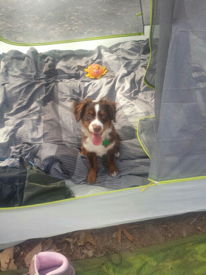 Roxie, MS Map & Directions MapQuest