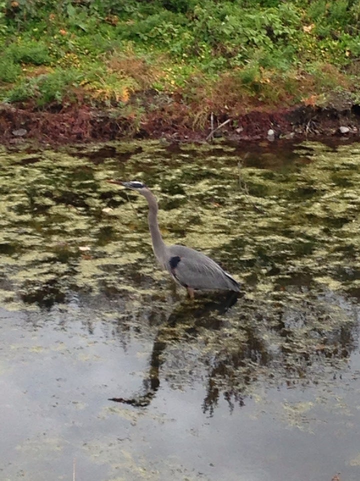 Canal at Upper Black Eddy, Waterview Ln, Bridgeton Twp, PA, Outdoor