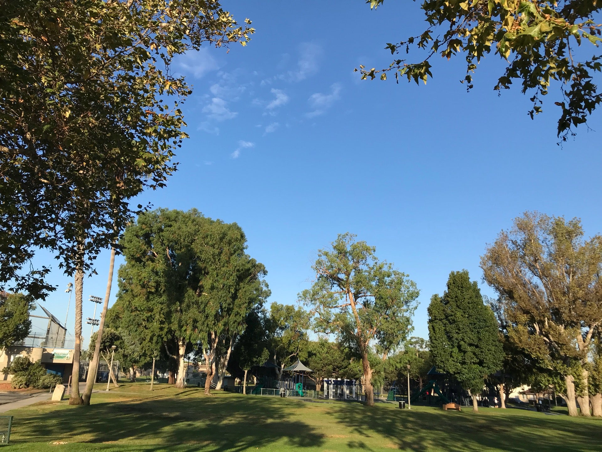 Discovering Anderson Park in Redondo Beach: A Hidden Gem for Travelers