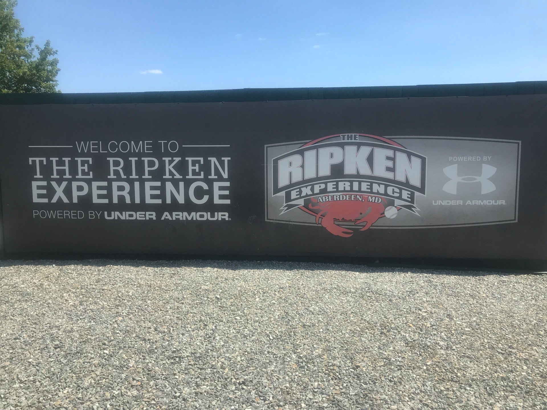 BBW RIPKEN S USA MD