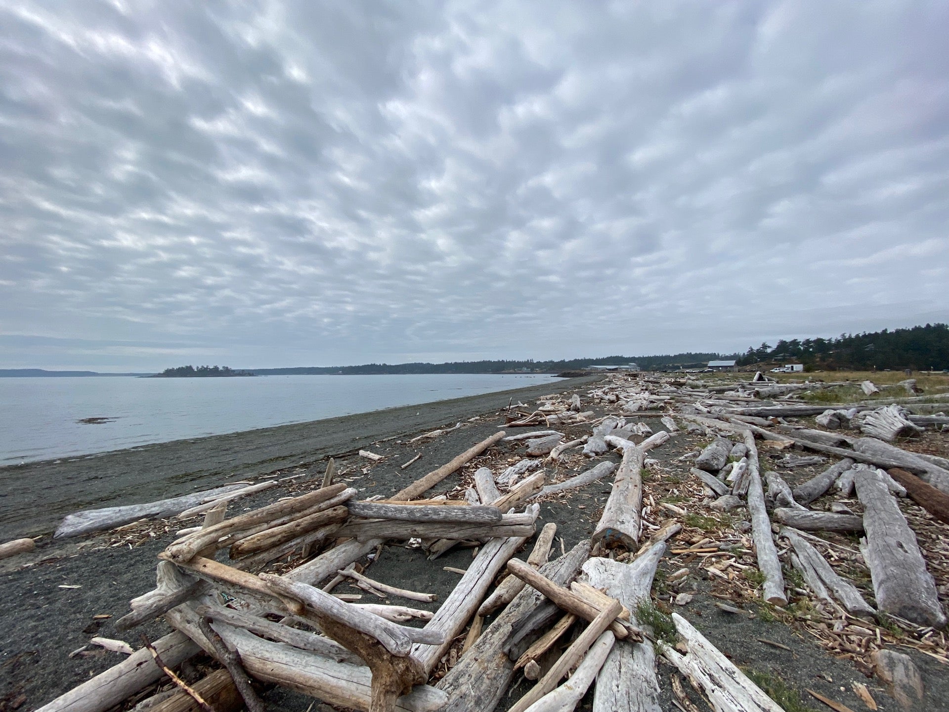 Jackson Beach Park, Jackson Beach Rd, Friday Harbor, WA MapQuest