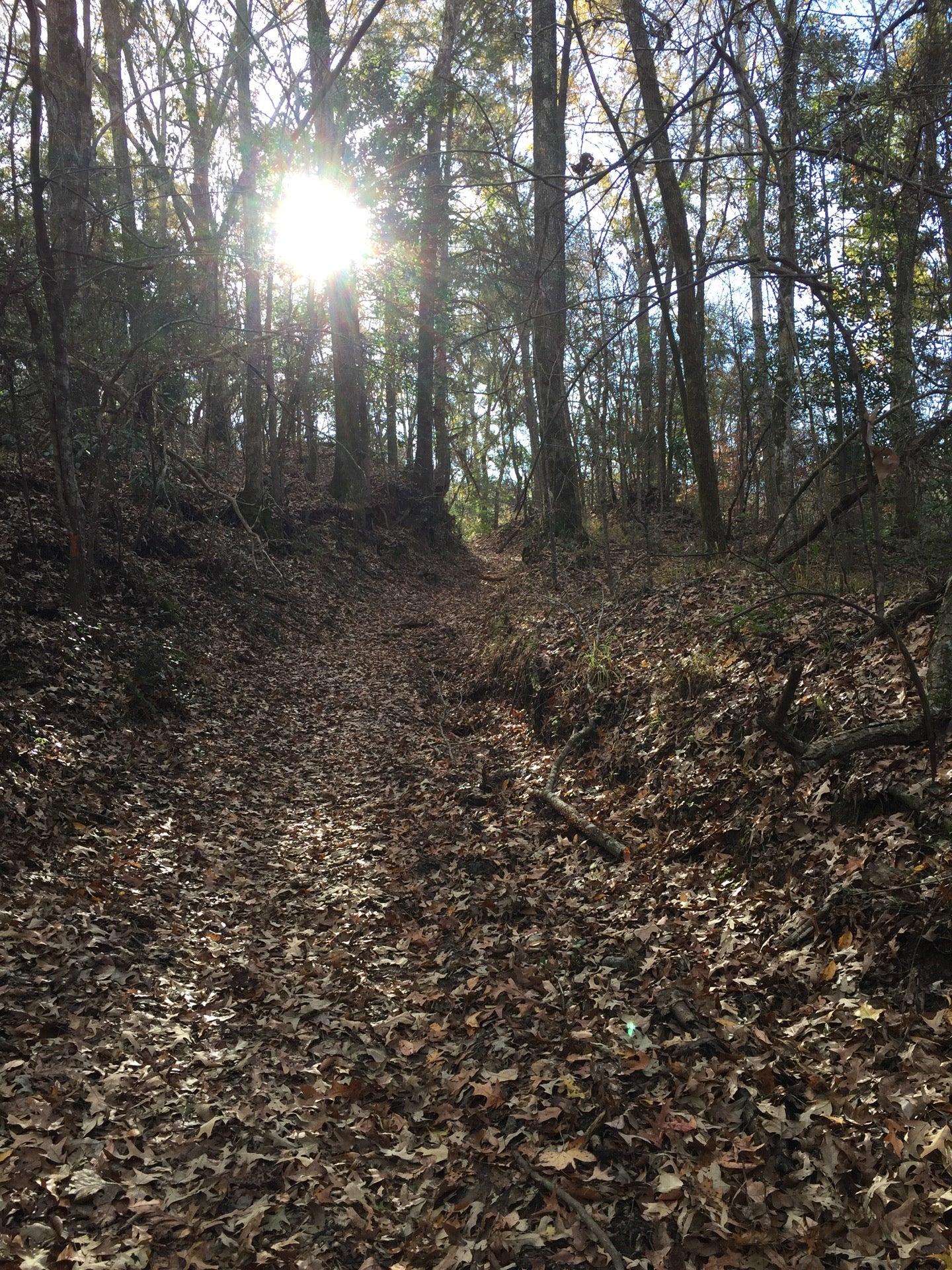 Gloster, MS Map & Directions MapQuest