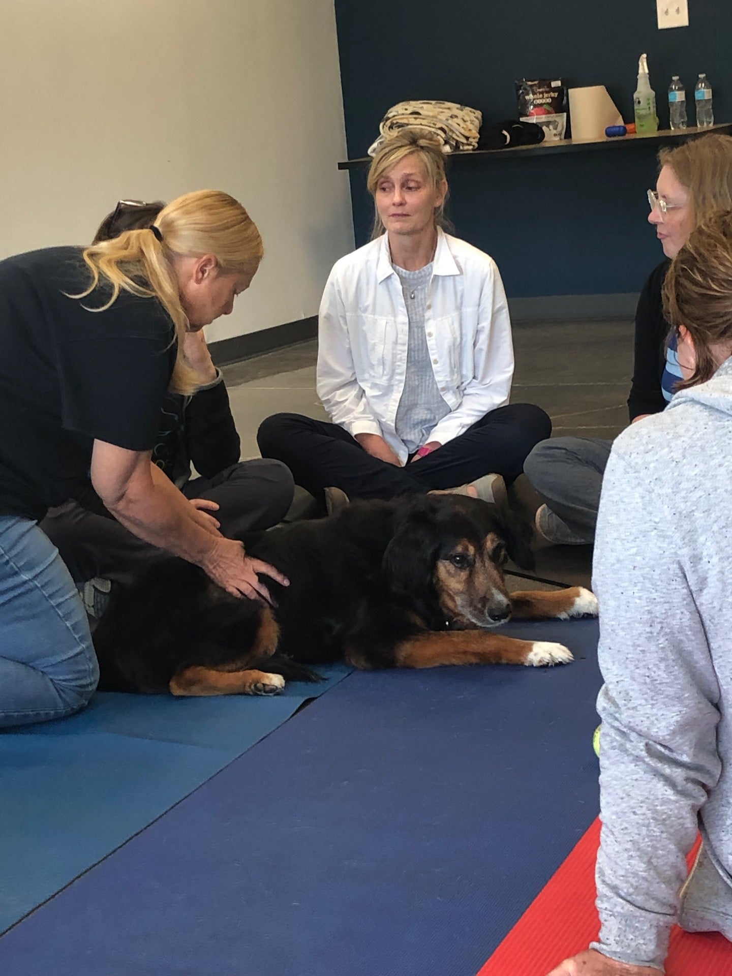 Petropolis, 3550 W Clay St, St Charles, MO, Boarding & Kennels - MapQuest