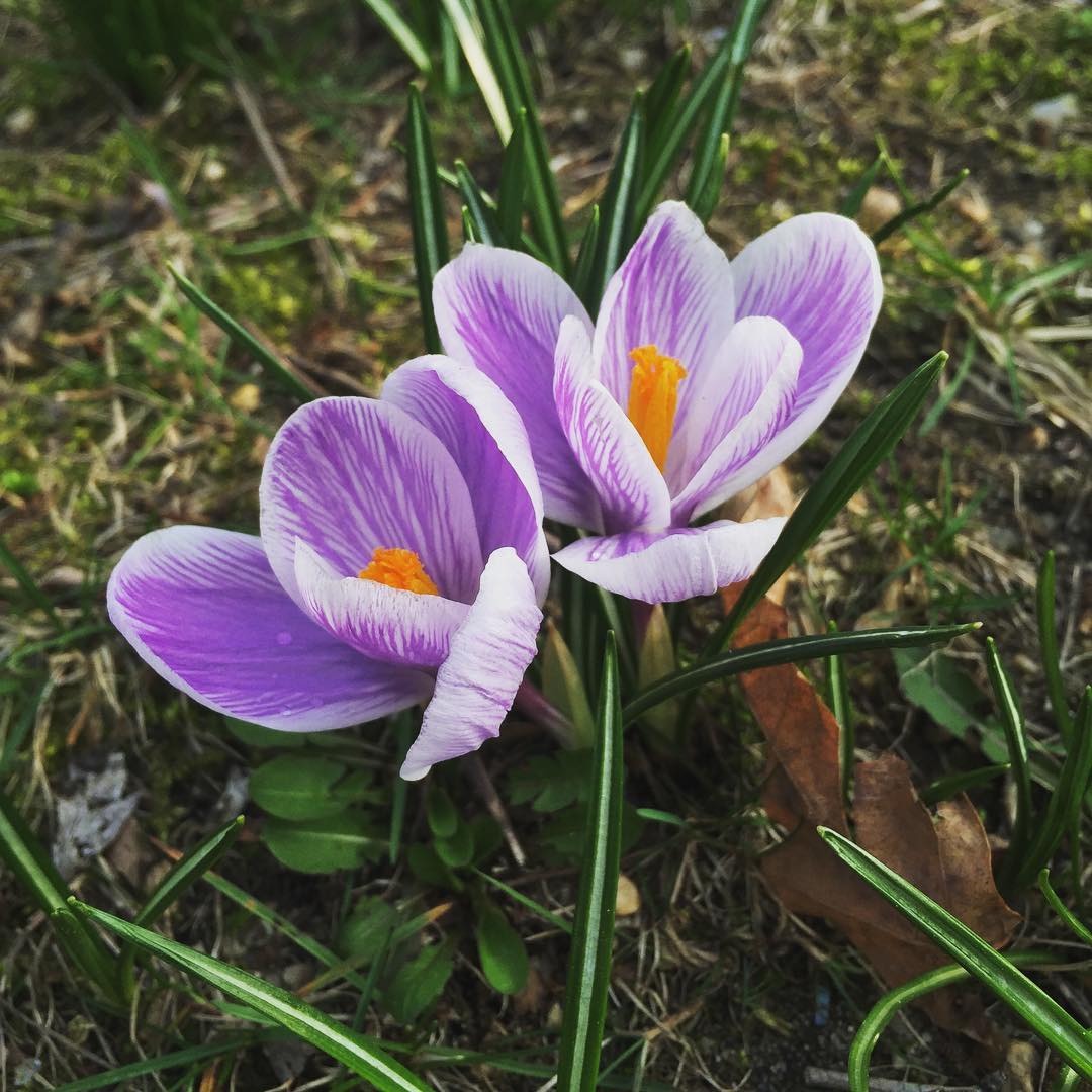 Merrick, NY Map & Directions MapQuest