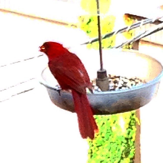 Ravenswood, IL Map & Directions MapQuest