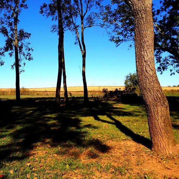 Stevensburg, VA Map & Directions MapQuest