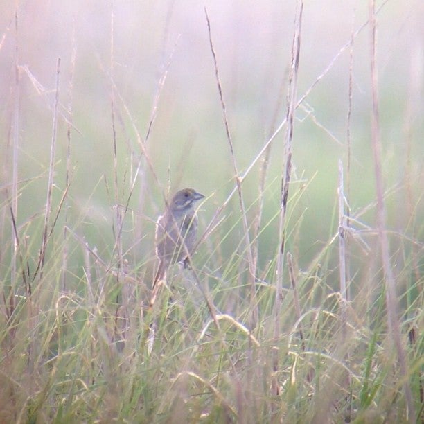 Slaughter Beach, DE Map & Directions MapQuest