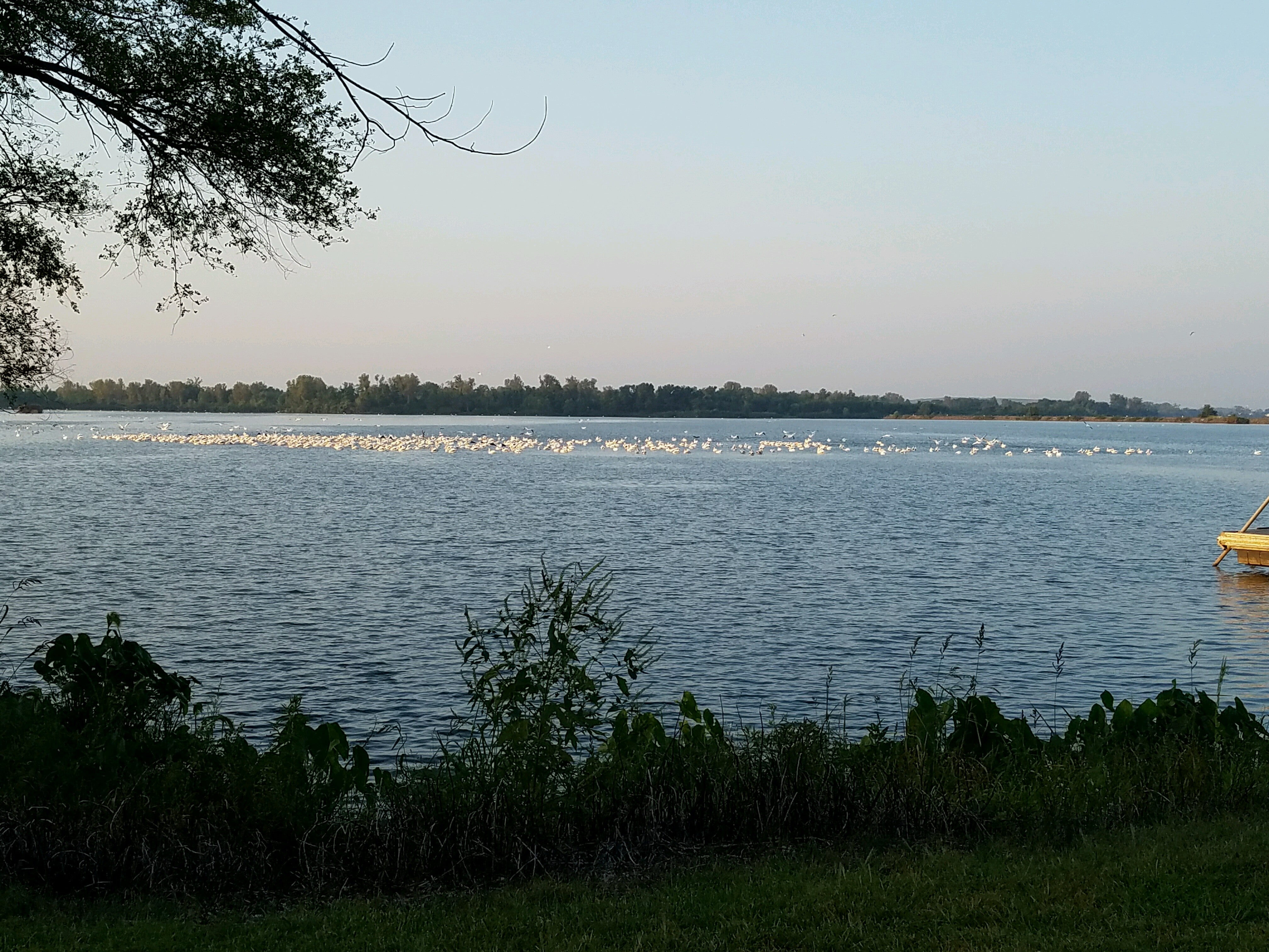 Horseshoe Lake Boat Launch, Granite City, IL, Parks MapQuest
