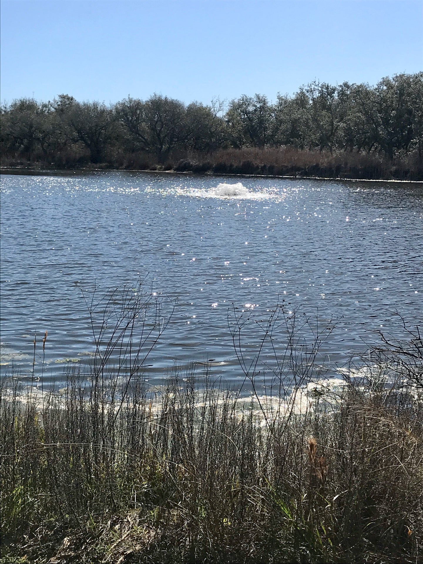 Bayside, TX Map & Directions MapQuest