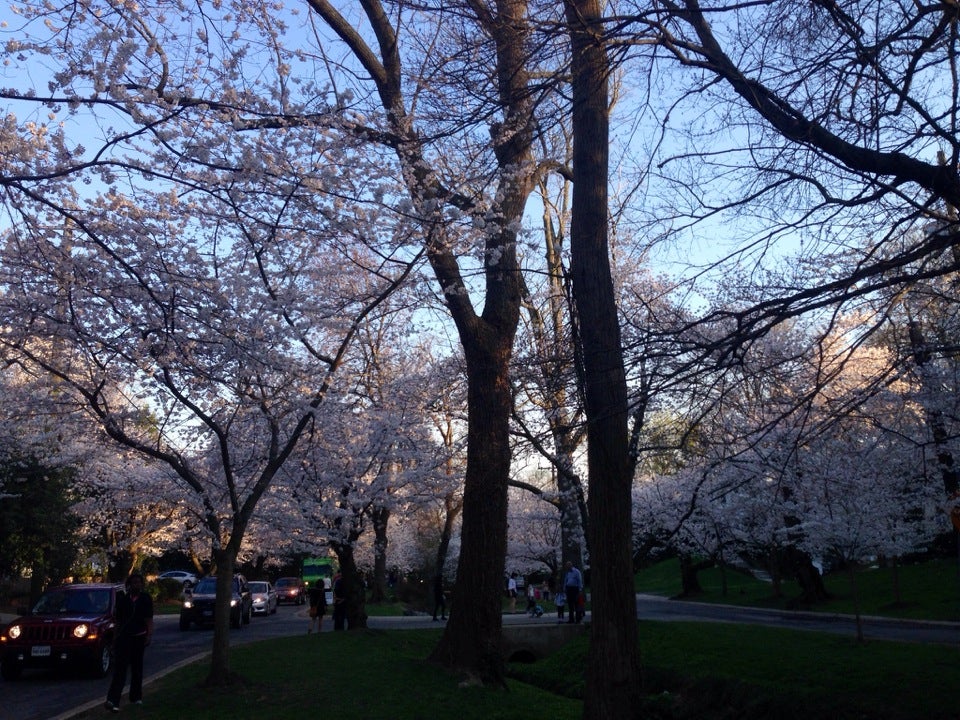 Kenwood Golf & Country Club, 5601 River Rd, Bethesda, MD, Country Clubs