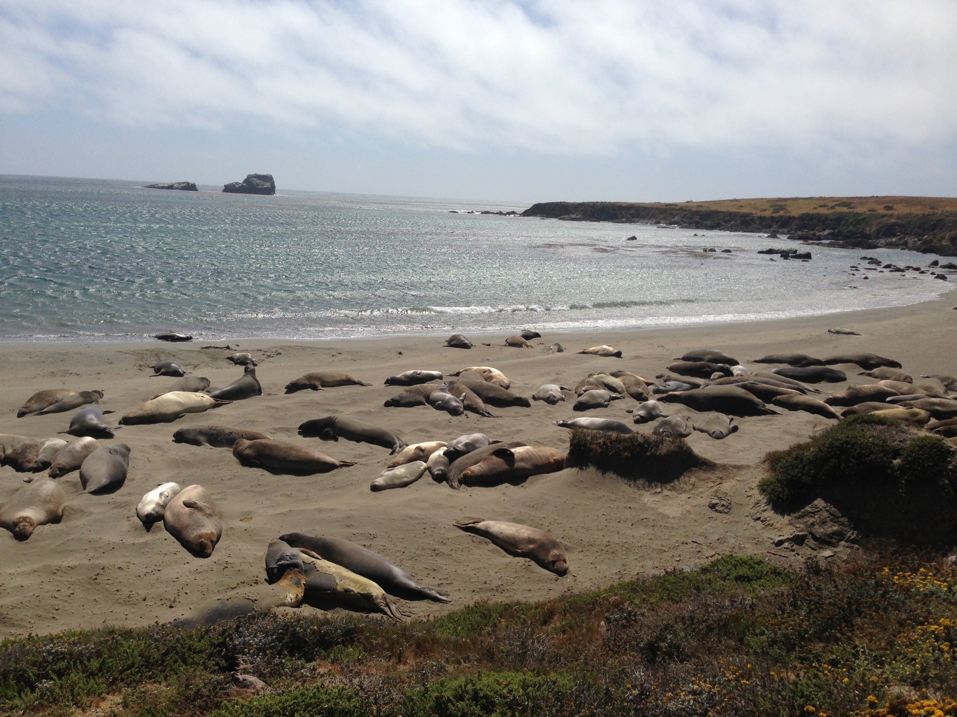 San Simeon State Park, San Luisito Creek Rd, San Luis Obispo, CA, Beach