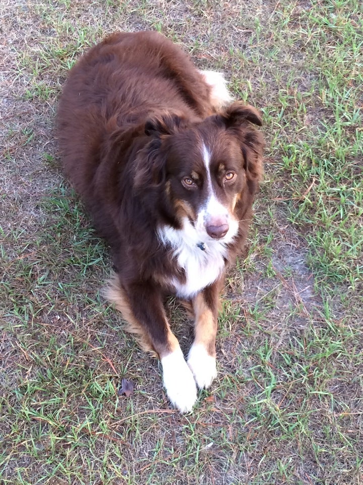 Woodward Park, 82 Ball Park Rd, Camden, SC MapQuest