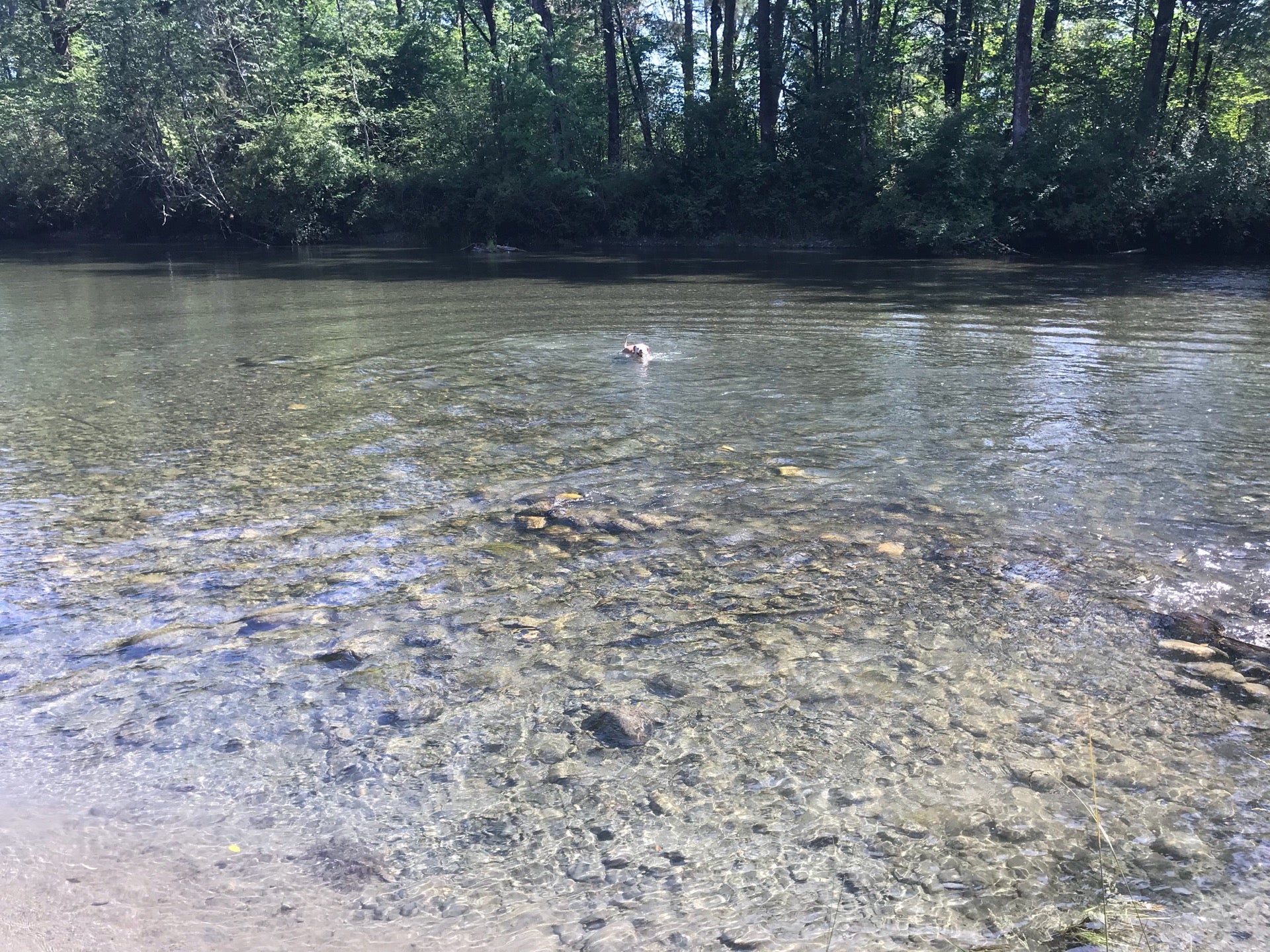 Sultan River, Stevens Ave, Sultan, WA MapQuest