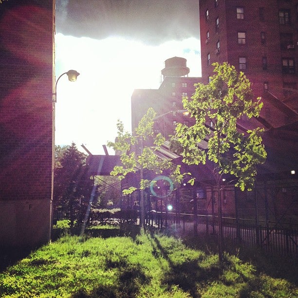 NYCHA Whitman Houses, 131 Cumberland Walk, Brooklyn, NY, Housing