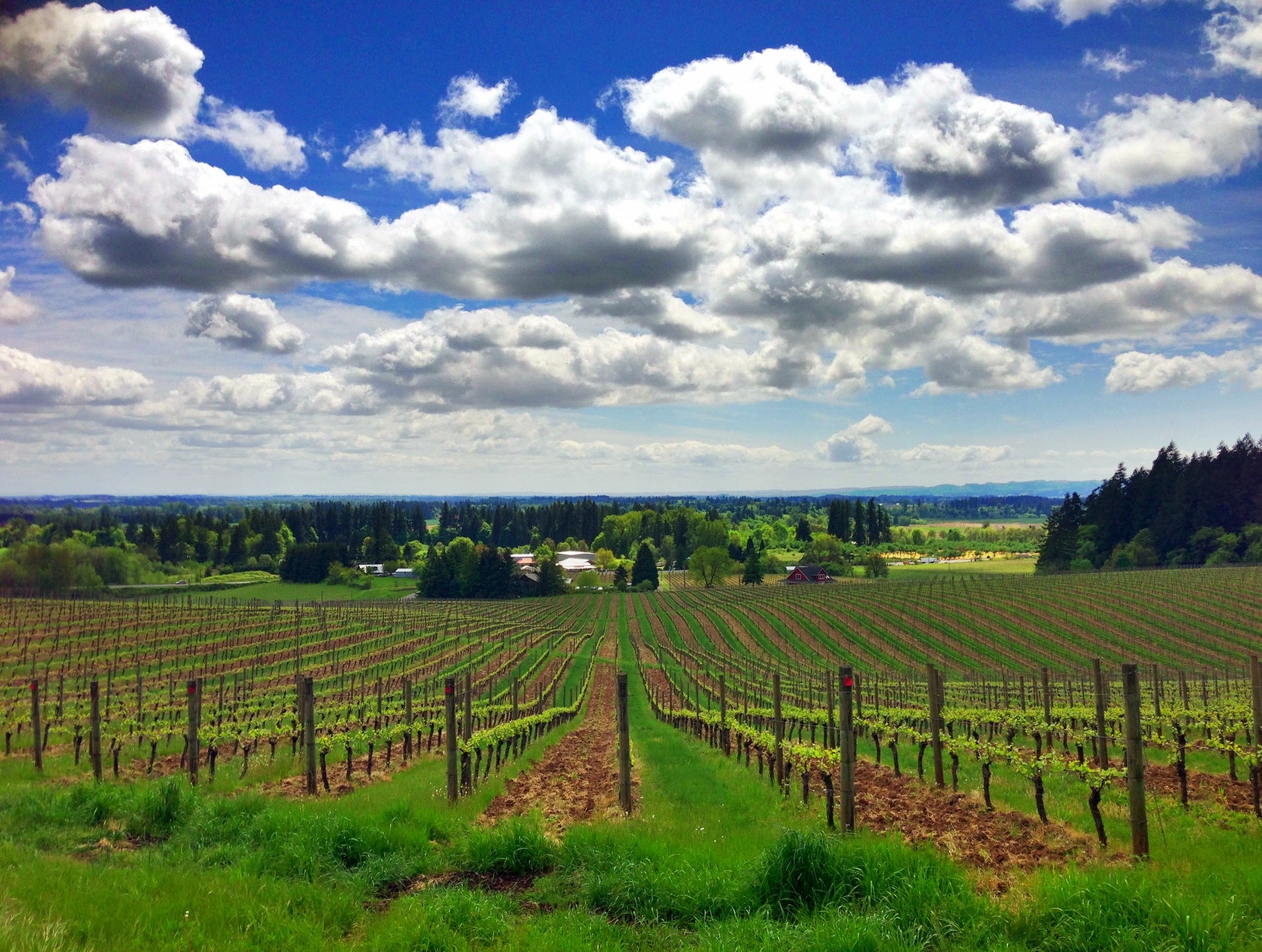 St. Paul, OR Map & Directions - MapQuest