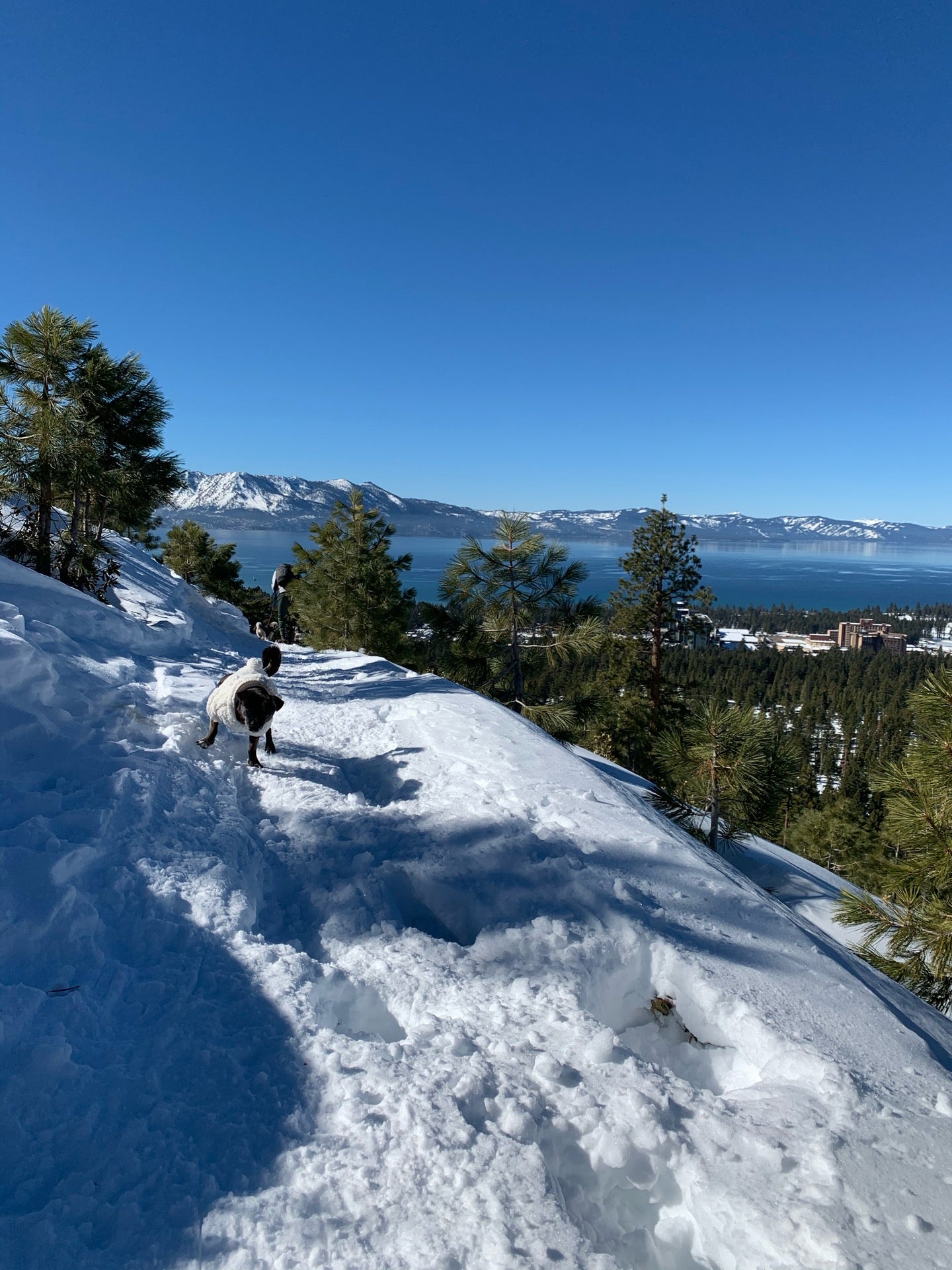 Van Sickle Falls, Stateline, NV MapQuest