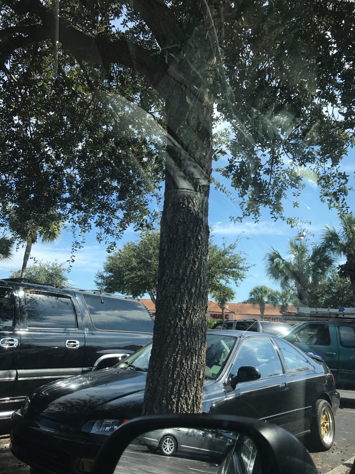 El Bodegon 6, 6356 Forest Hill Blvd, Greenacres, FL, Eating places