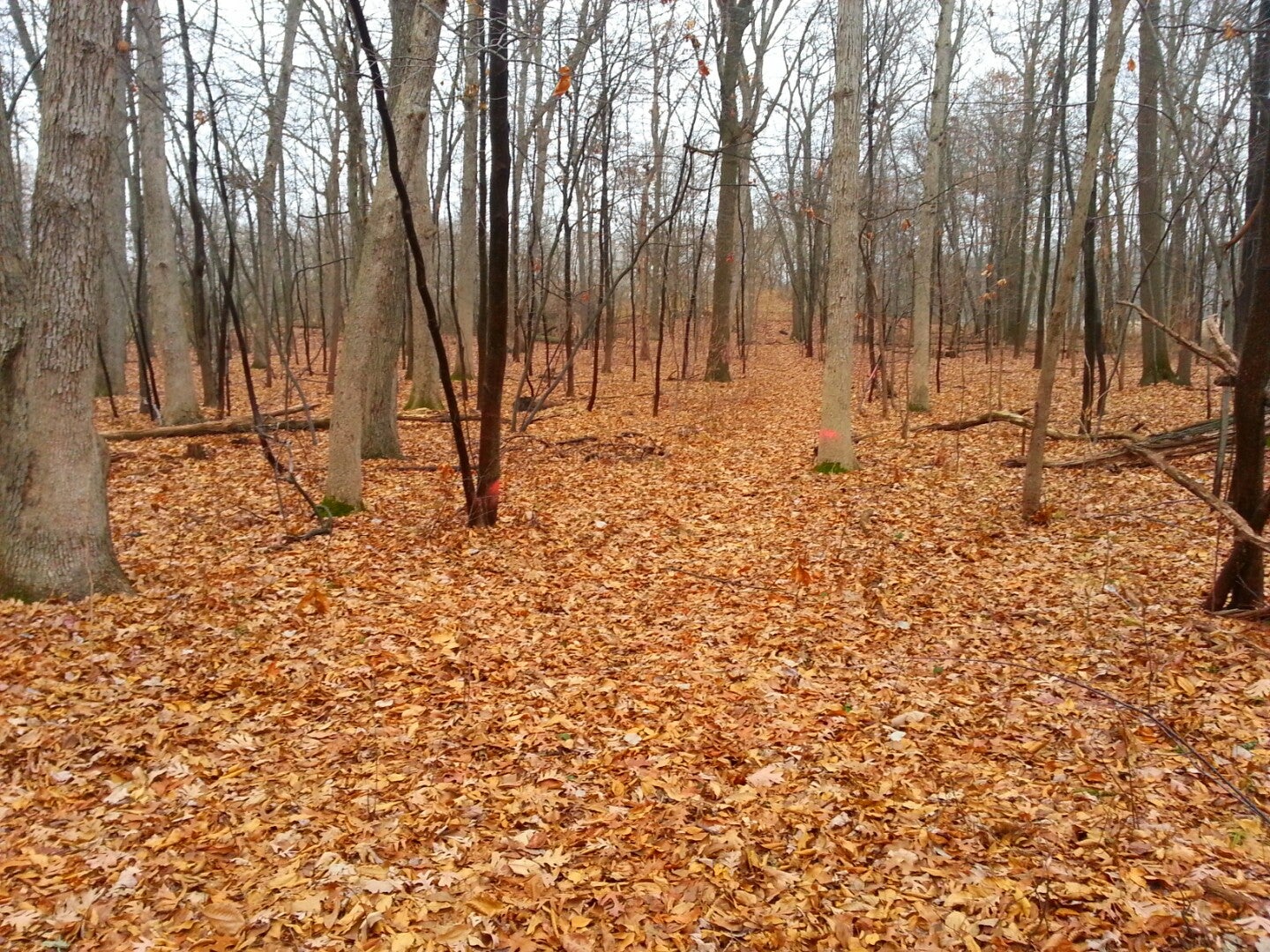 Schoolcraft, MI Map & Directions MapQuest