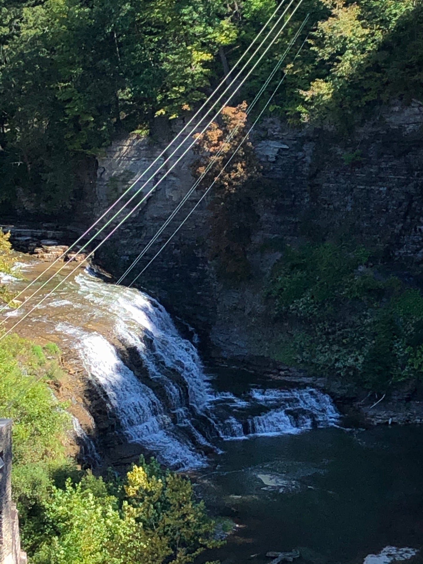 Fall Creek Suspension Bridge, Fall Creek Dr, Ithaca, NY, Trail