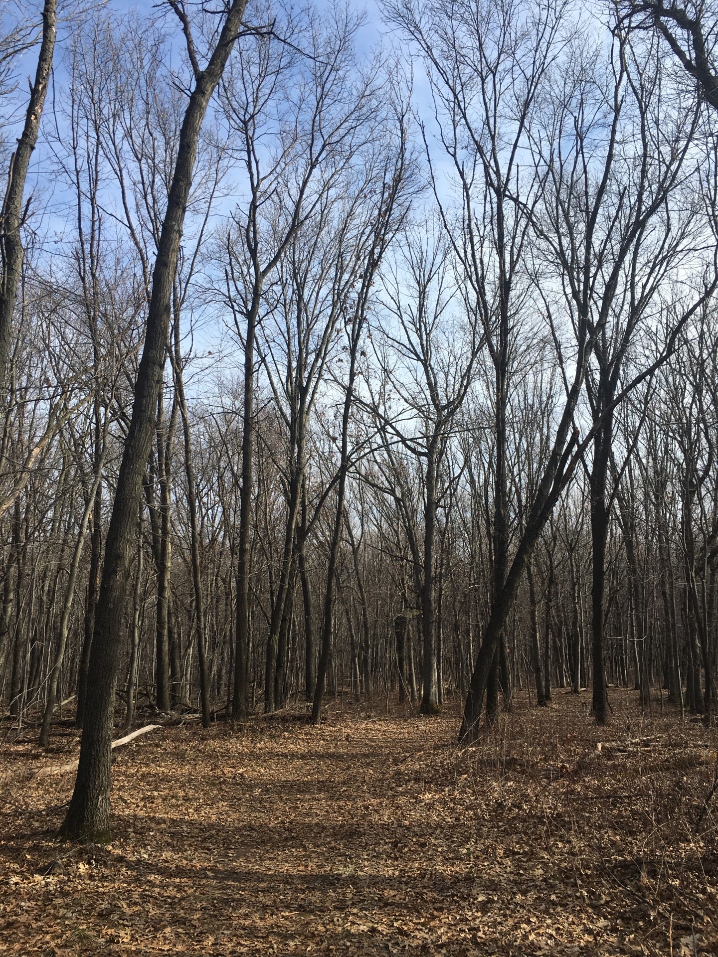 Elk Mound, WI Map & Directions MapQuest