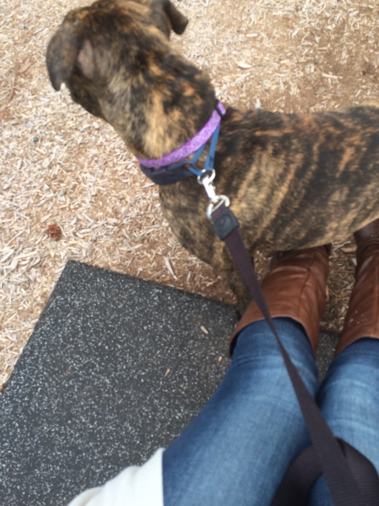 Rehoboth Beach, DE Map & Directions MapQuest