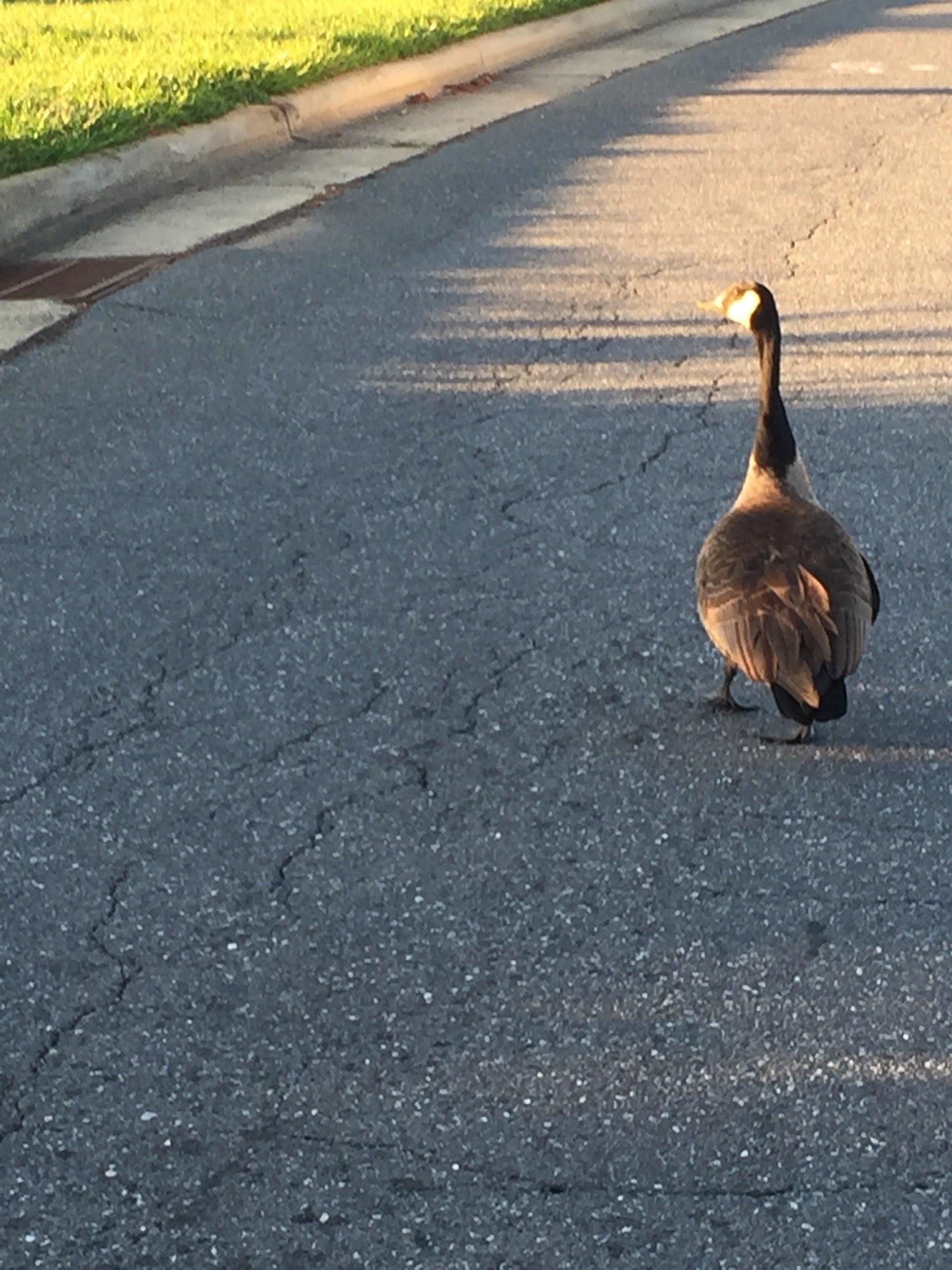 Pineville, NC Map & Directions MapQuest