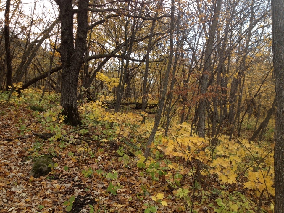 New Effington, SD Map & Directions MapQuest