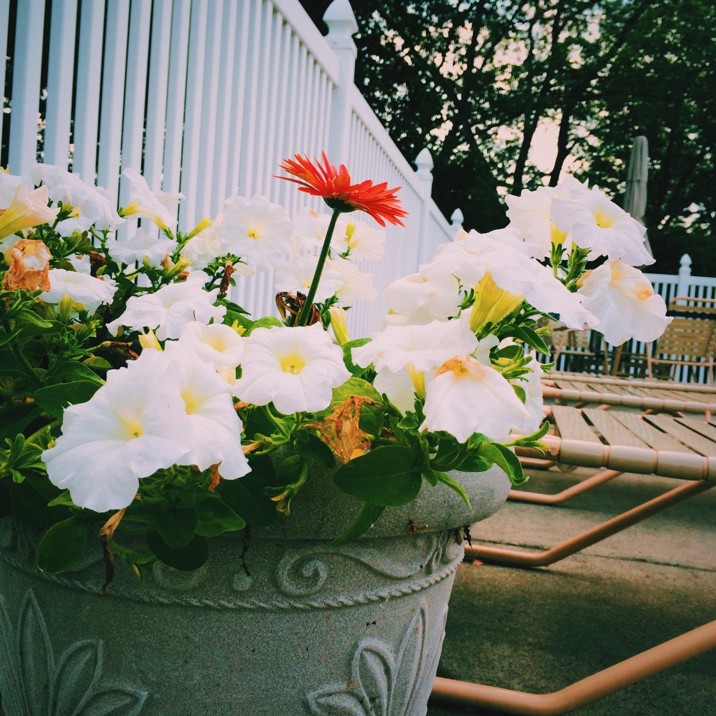 Woods Edge Apartments, WoodsEdge Drive, Painted Post, NY, Residential