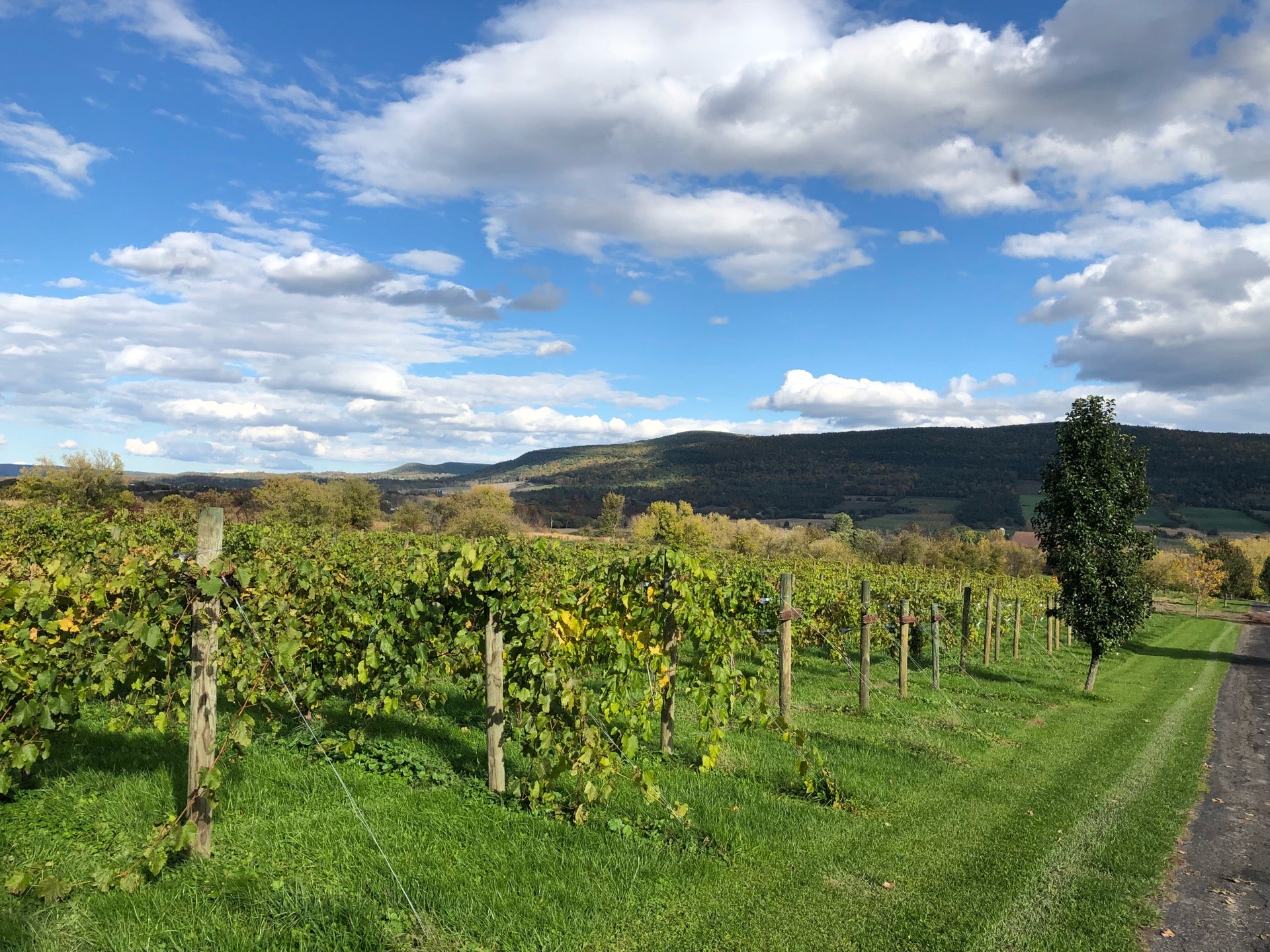 Middleburgh, NY Map & Directions MapQuest