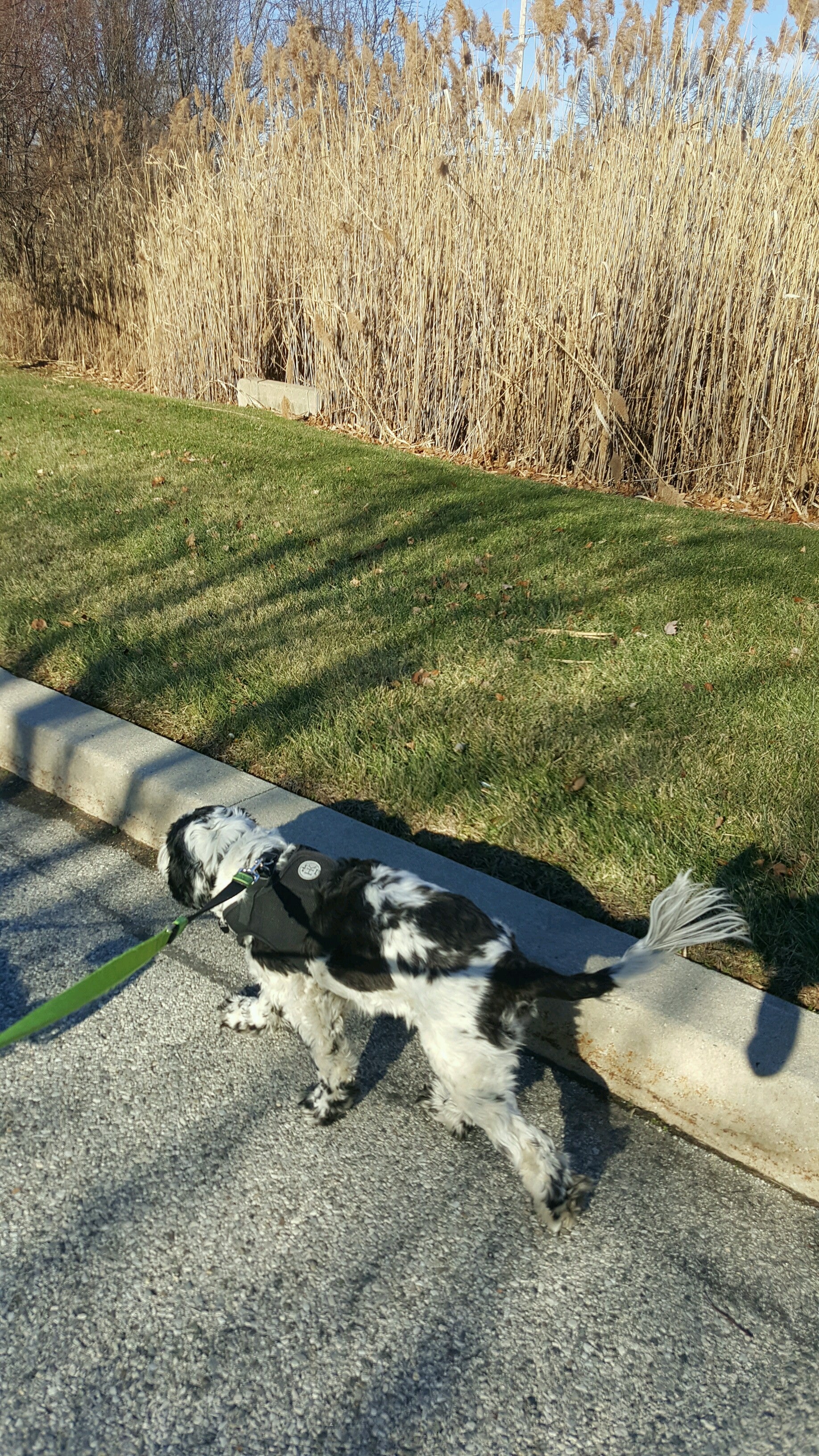 Concord Township Park, Smithbridge Rd, Glen Mills, PA, Parks MapQuest