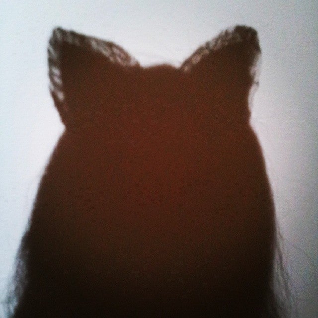 Cat Art Show Los Angeles, 6205 Santa Monica Blvd, Los Angeles, CA