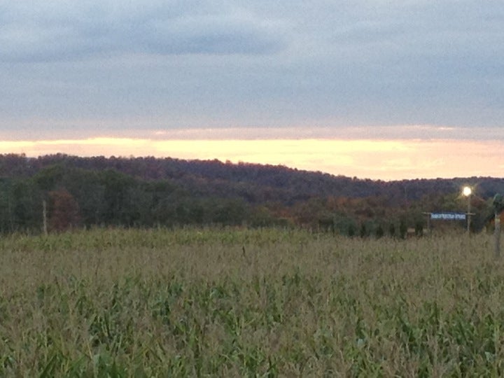 Roba's Tree Farm, Dalton, PA, Farms MapQuest