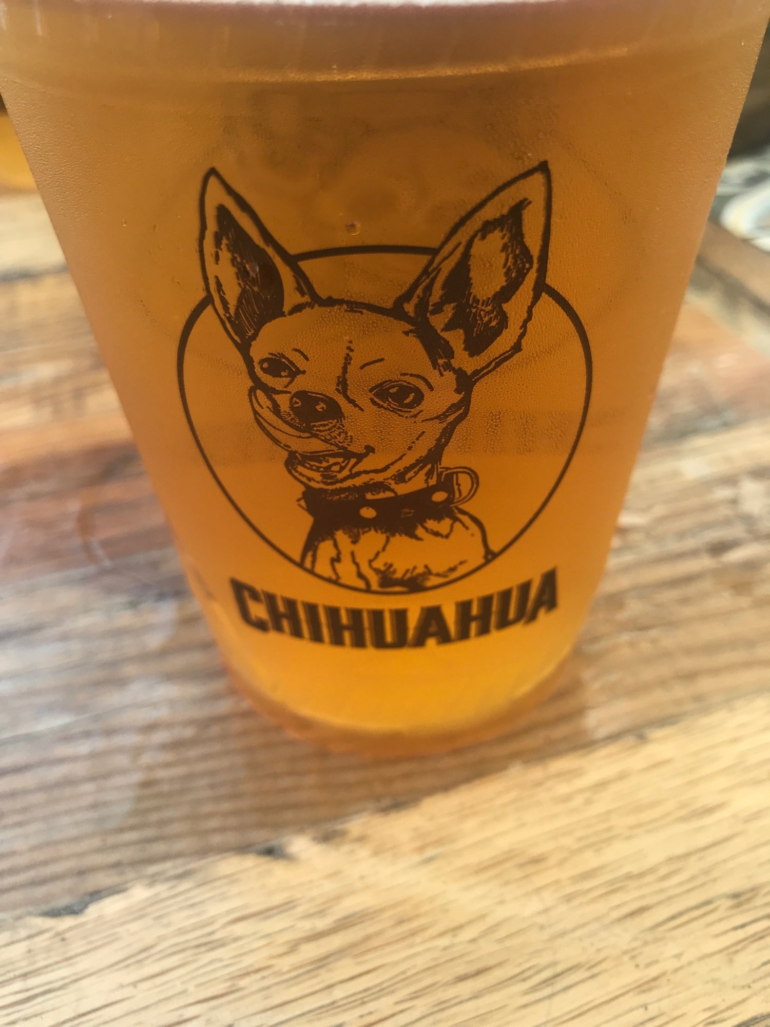 Chihuahua Cerveza, 3107 Newport Blvd, Newport Beach, CA, Eating places