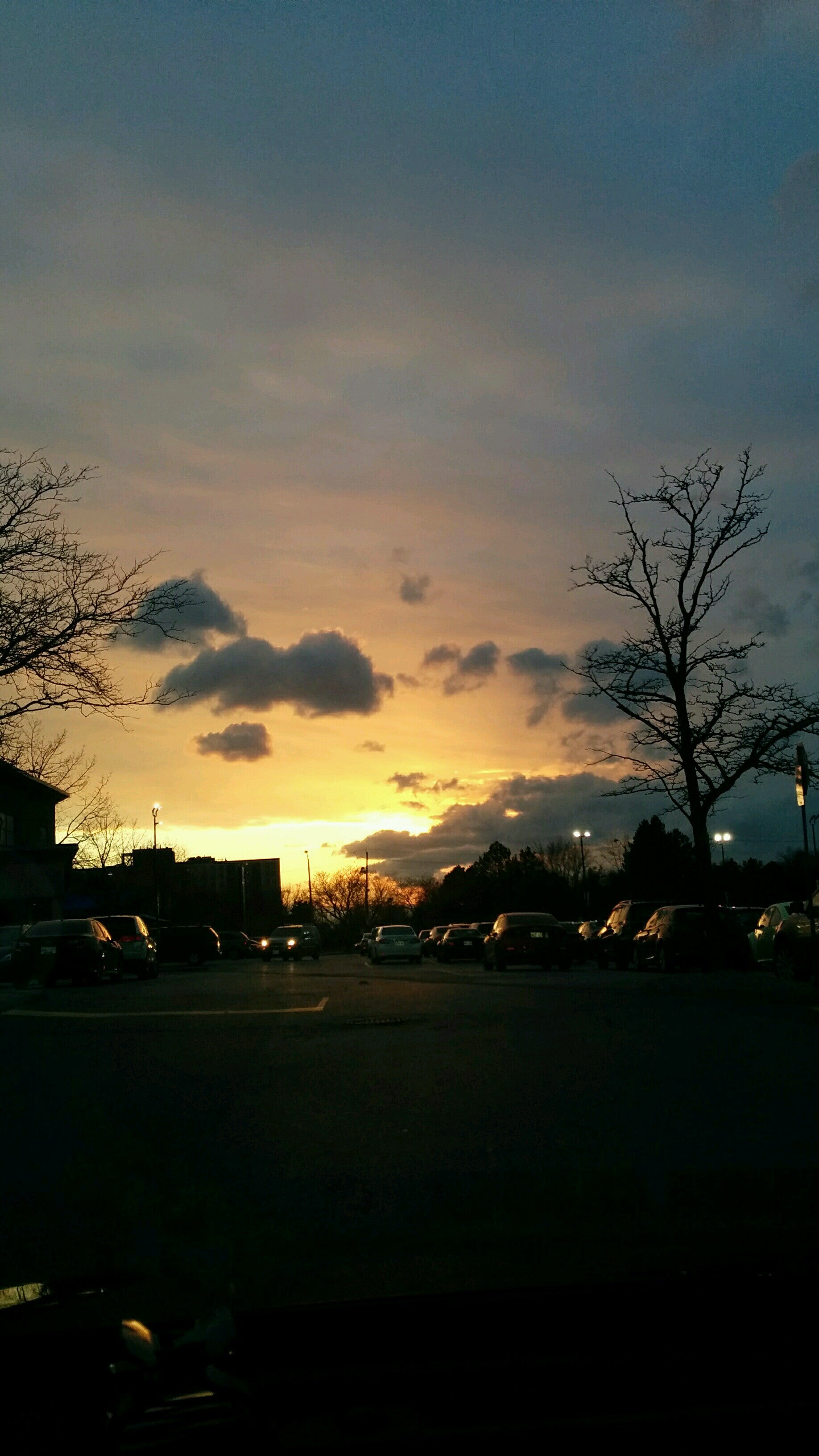 Tangerine Bank, 3389 Steeles Ave E, North York, ON MapQuest