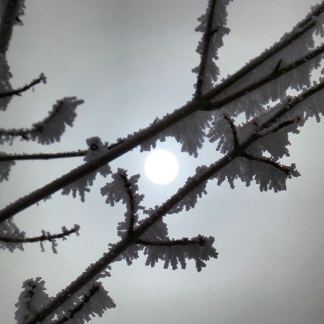 Homedale, ID Map & Directions MapQuest