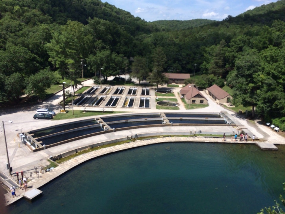 Roaring River State Park, 12716 Farm Road 2239, Cassville, MO