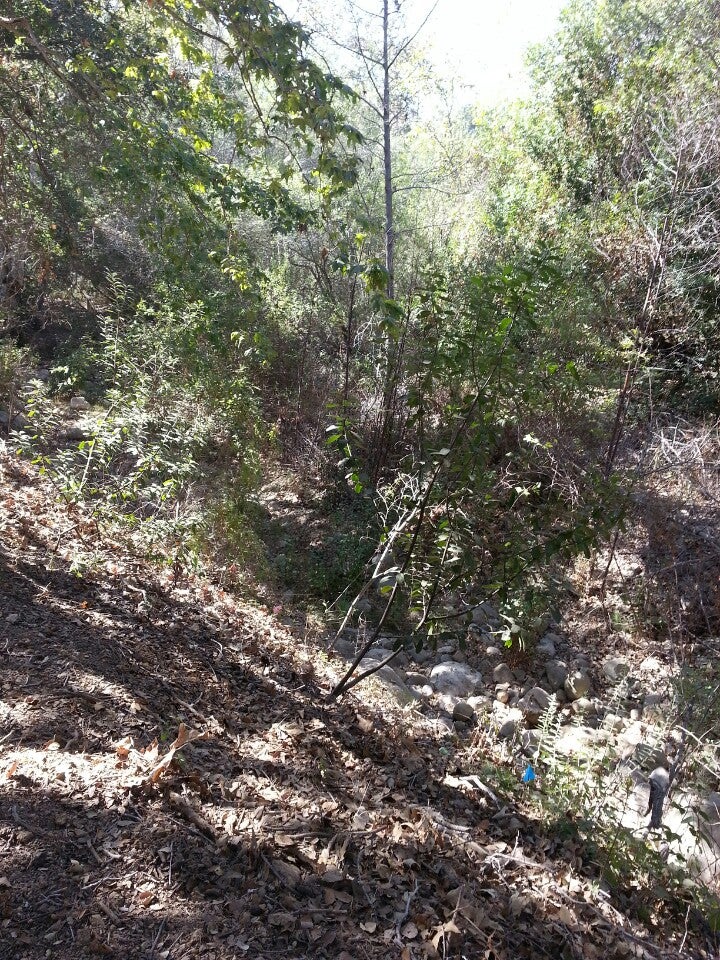 Tuckers Grove Park, 4800 Cathedral Oaks Rd, Santa Barbara, CA, Parks