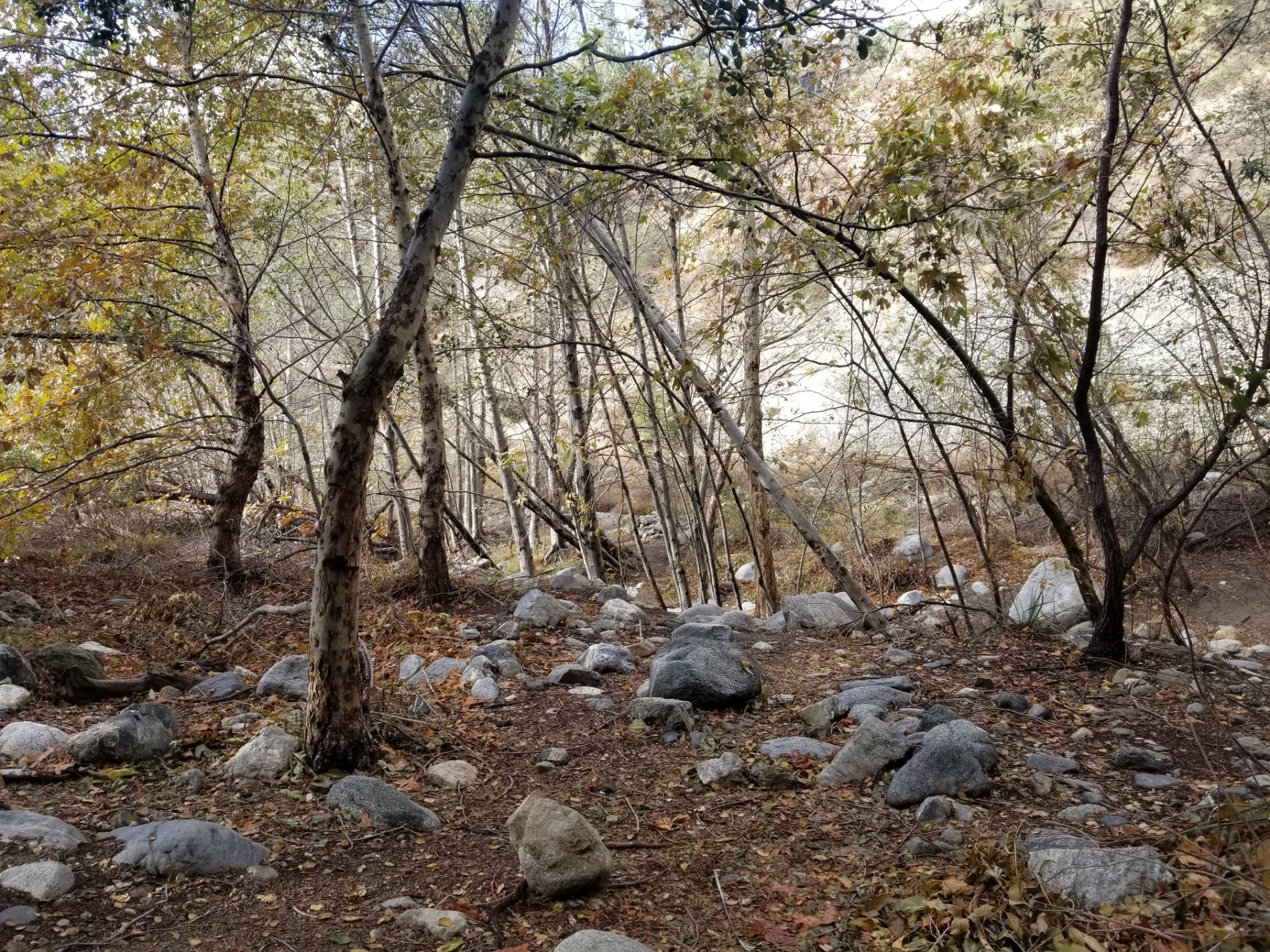 Mount Wilson Toll Road Overpass, Altadena, CA, Bridge MapQuest