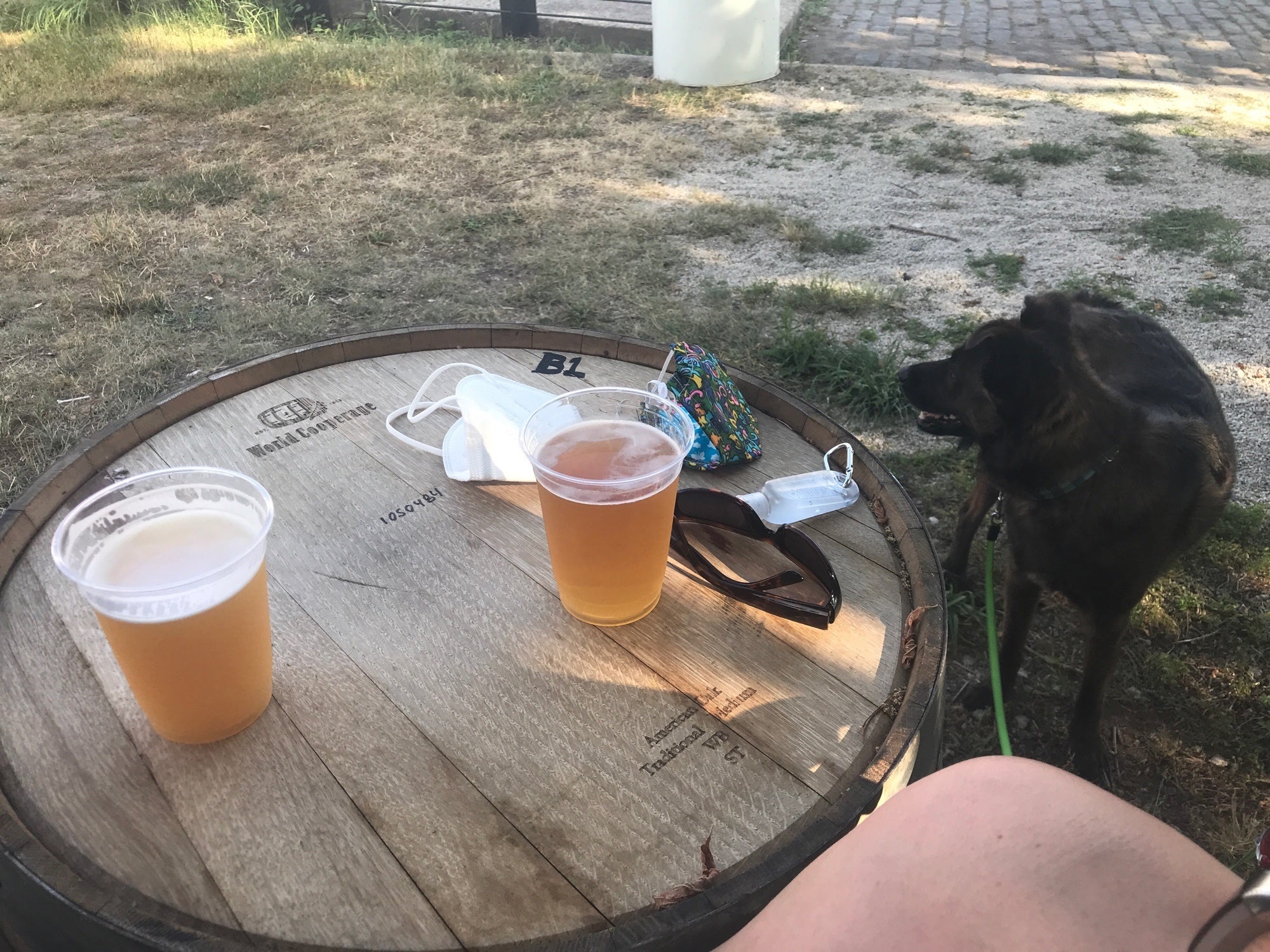 Root Down Biergarten, 425 Bridge St, Phoenixville, PA, Bars MapQuest