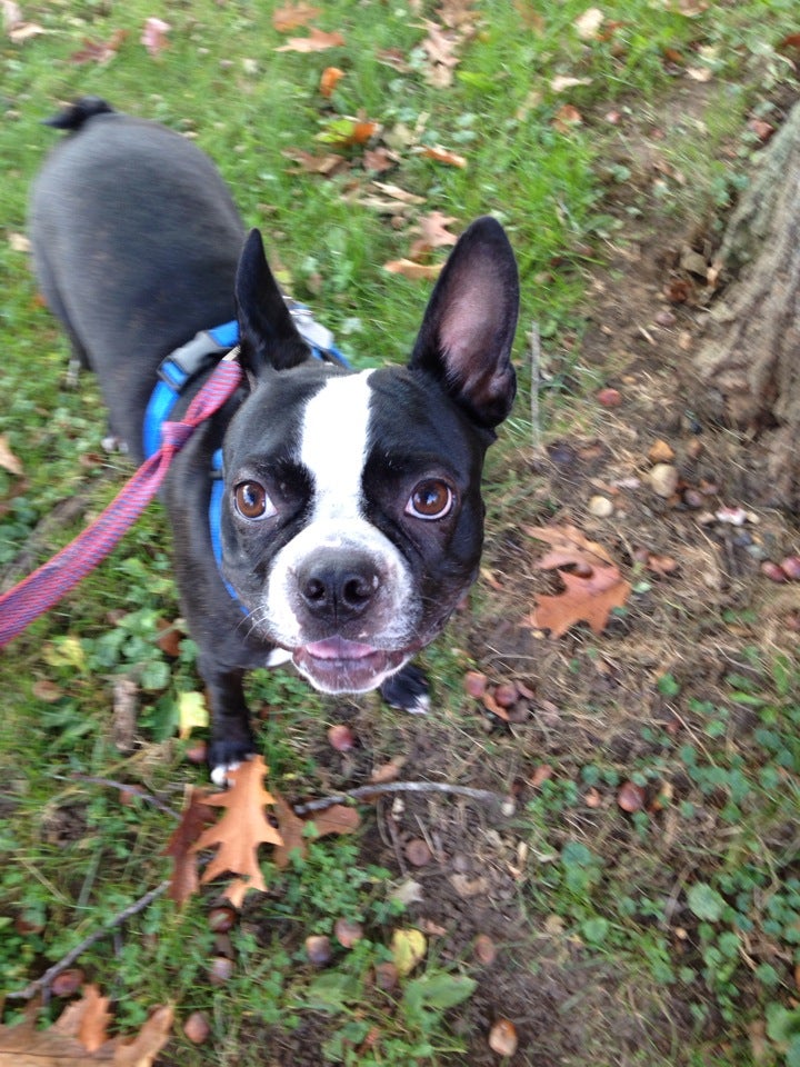 Pomfret, CT Map & Directions MapQuest