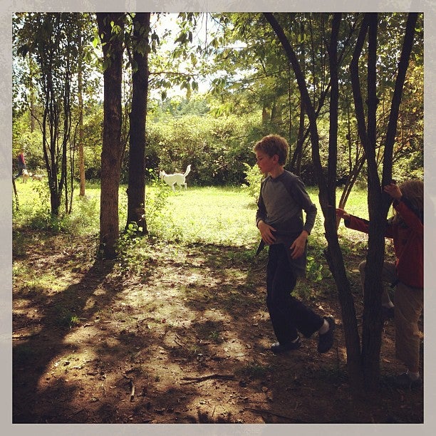 Shelburne Dog Park, Harbor Rd, Shelburne, Town of, VT, Parks MapQuest