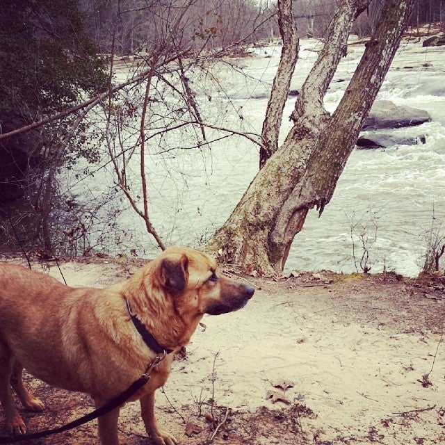 Moore, SC Map & Directions MapQuest