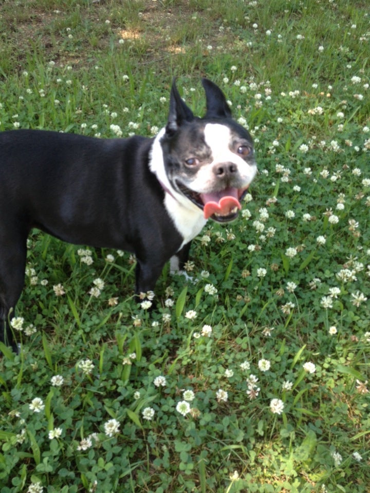 Glendora, NJ Map & Directions MapQuest