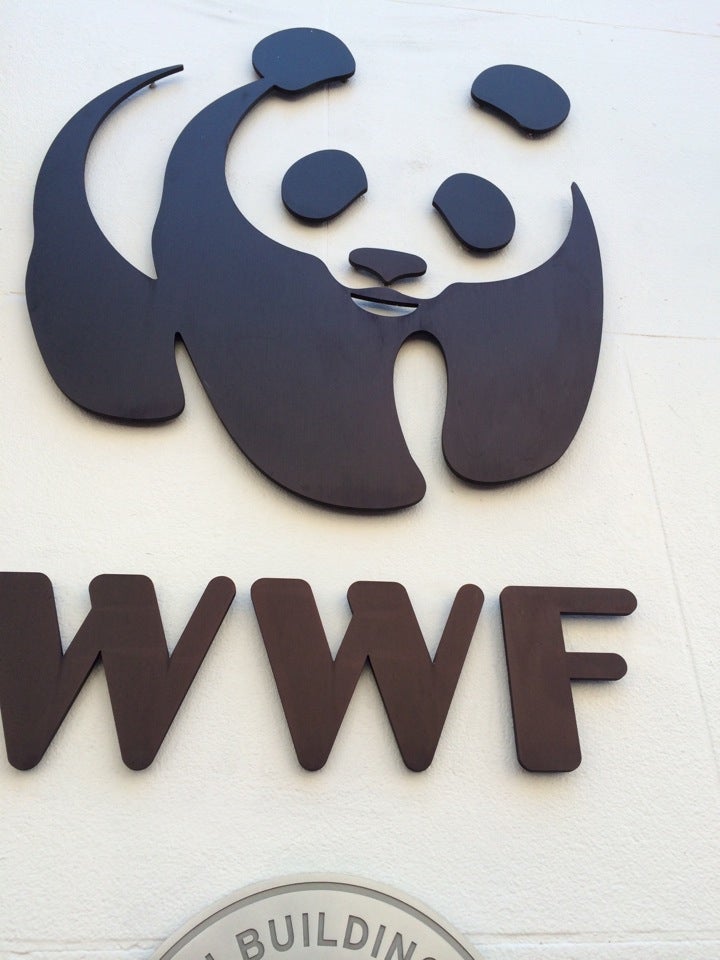 Wwf Dc World Wildlife Fund Logo