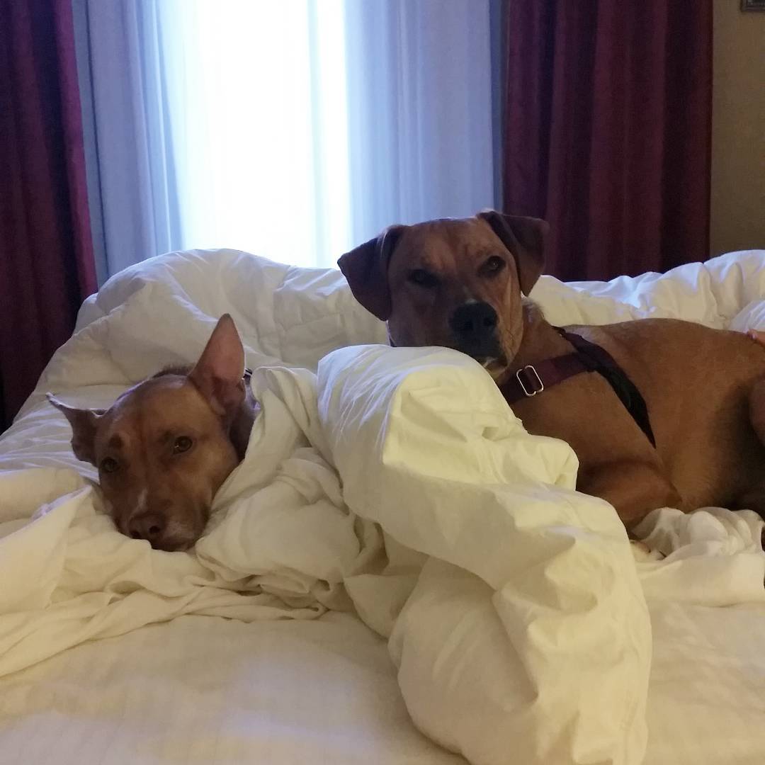 Doswell, VA Map & Directions MapQuest