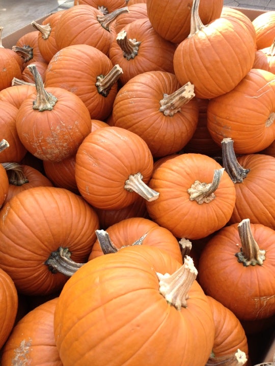 Gertens, 5295 Blaine Ave, Inver Grove Heights, MN, Garden Centers