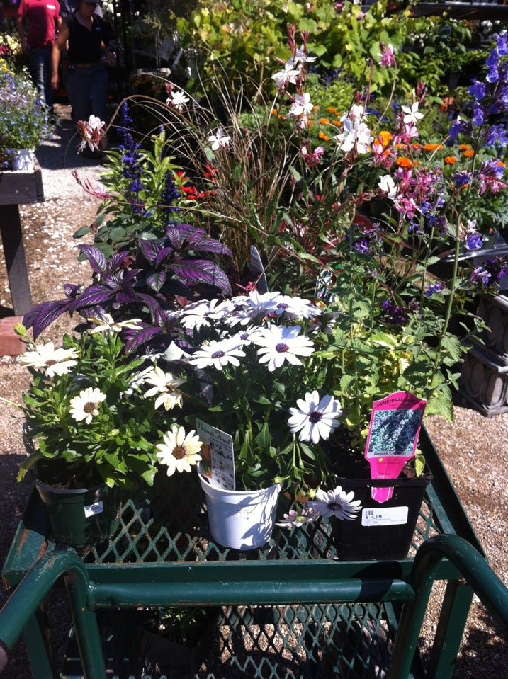 Christy ber Farm And Garden Center Fasci Garden